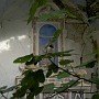 IMG_2844